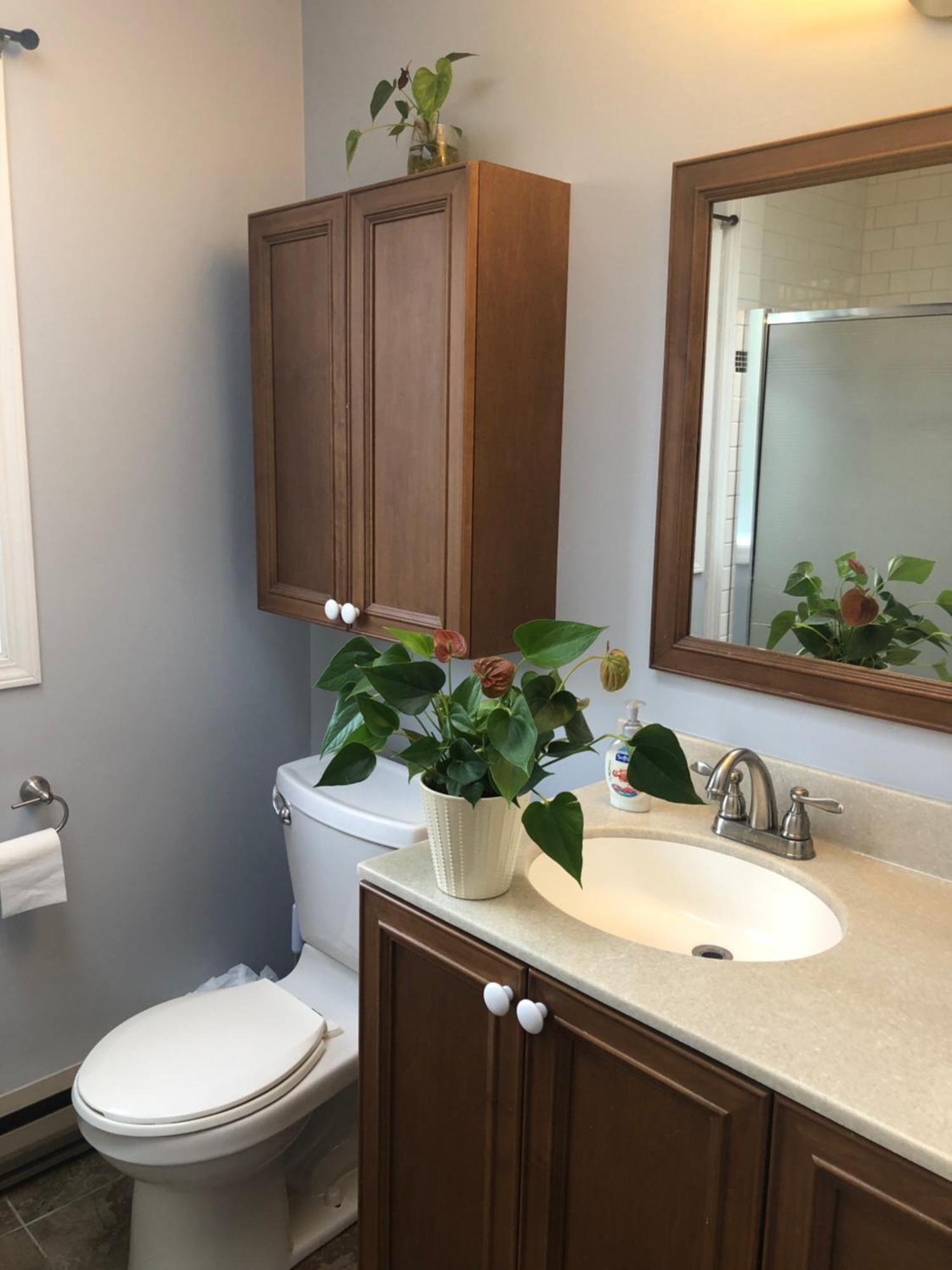 The Sunshine House-Free Parking Bed & Breakfast Vancouver Rom bilde