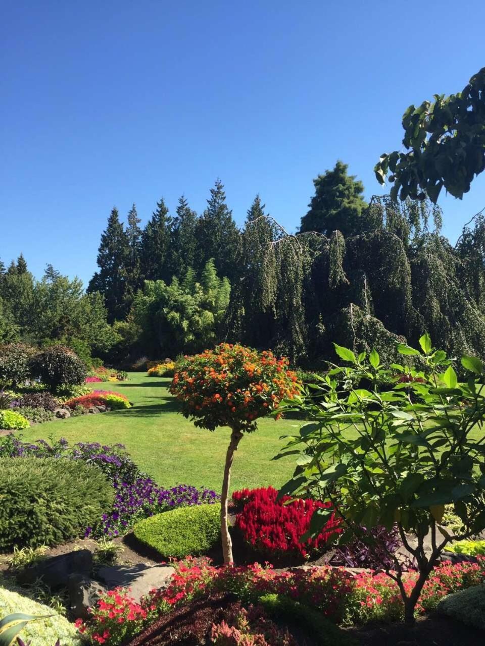The Sunshine House-Free Parking Bed & Breakfast Vancouver Eksteriør bilde