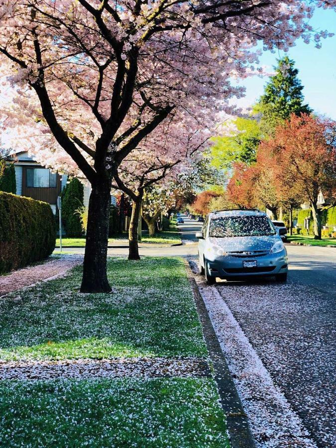 The Sunshine House-Free Parking Bed & Breakfast Vancouver Eksteriør bilde